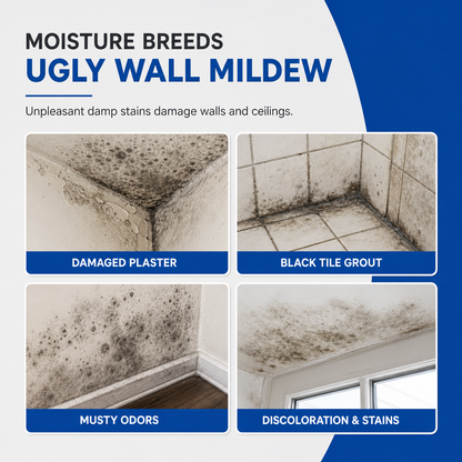 Multi-Purpose Mold & Mildew Remover Spray