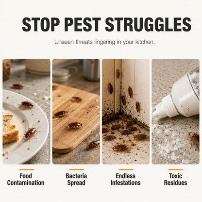 🪳Professional Non-Toxic Cockroach Trap House🏠