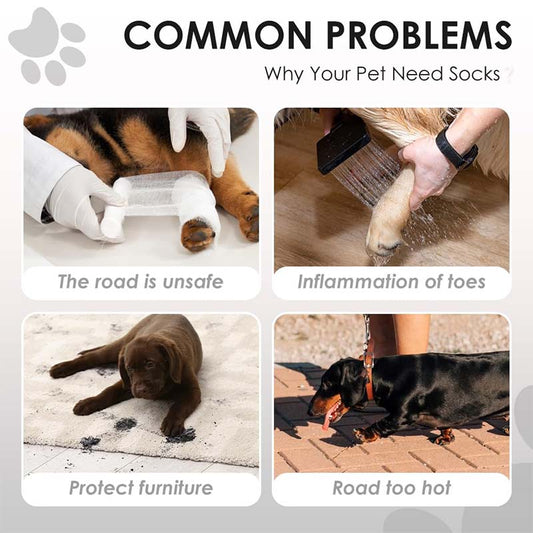🔥 Limited-time 50% off 🔥 Adjustable dog boots with straps – paw protection