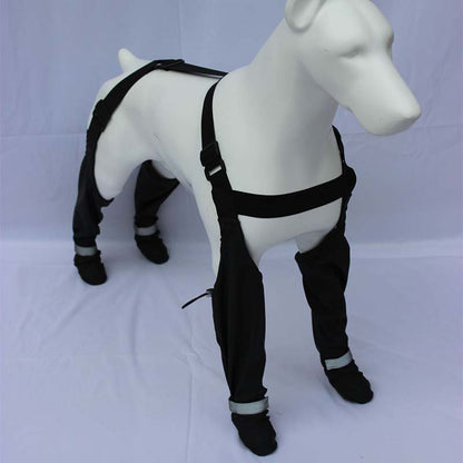 🔥 Limited-time 50% off 🔥 Adjustable dog boots with straps – paw protection