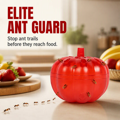 🎃 50% OFF! ✨ Pumpkin Shaped Indoor Fruit Fly Trap – Non-Toxic Mechanical Lure-and-Trap Funnel, Safe for Kids & Pets – Discreet Design Eliminates Ants & Flies on Kitchen Counters & Baseboards 🪰