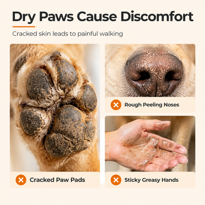Pet Paw and Nose Moisturizing Lotion for Daily Care